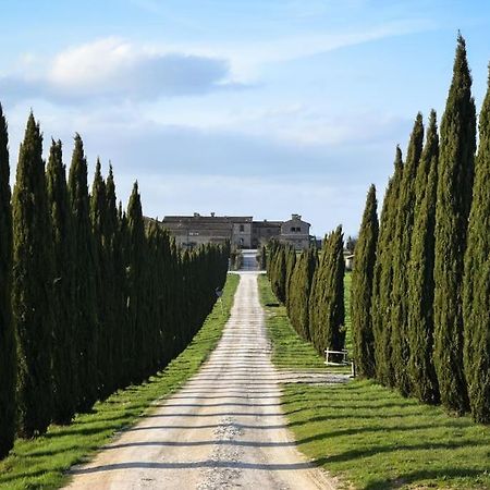 Cozy Home In Countryside Asciano Siena -Renovated! Exteriör bild